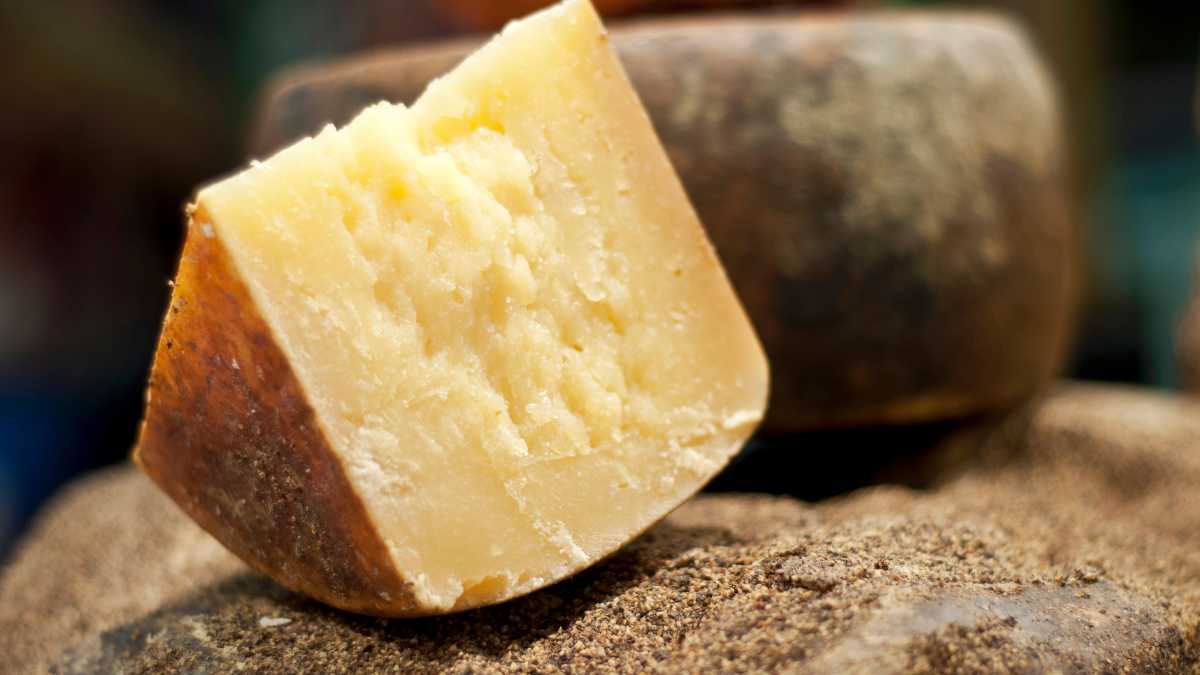 Dove comprare il miglior pecorino di Pienza: guida 2026 ai caseifici